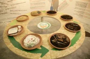 2.IL CICLO DEL COMPOSTAGGIO
