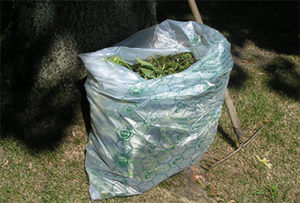 compost